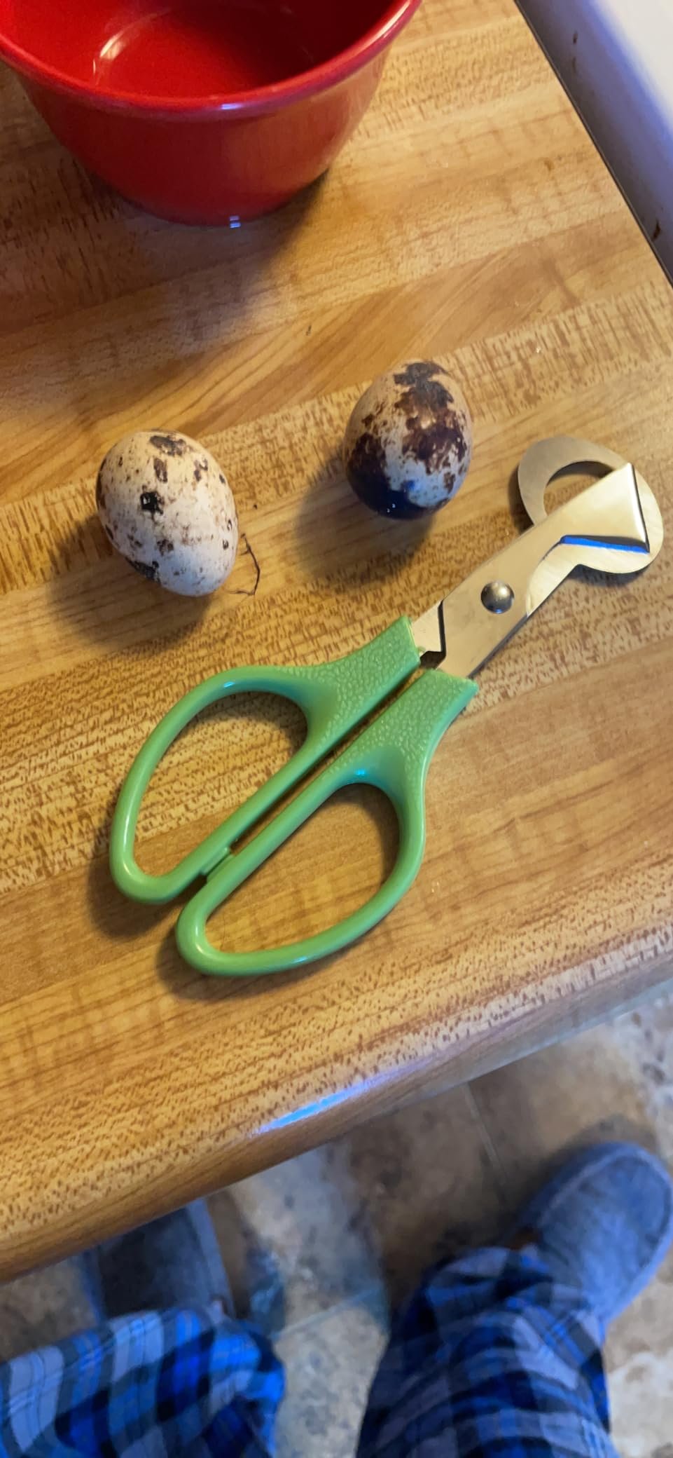 “Efficient and Precise: Quail Egg Scissors Unleash the Ease of Cracking.