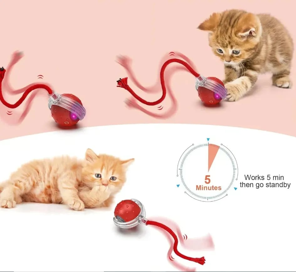 Smart pet ball standby function