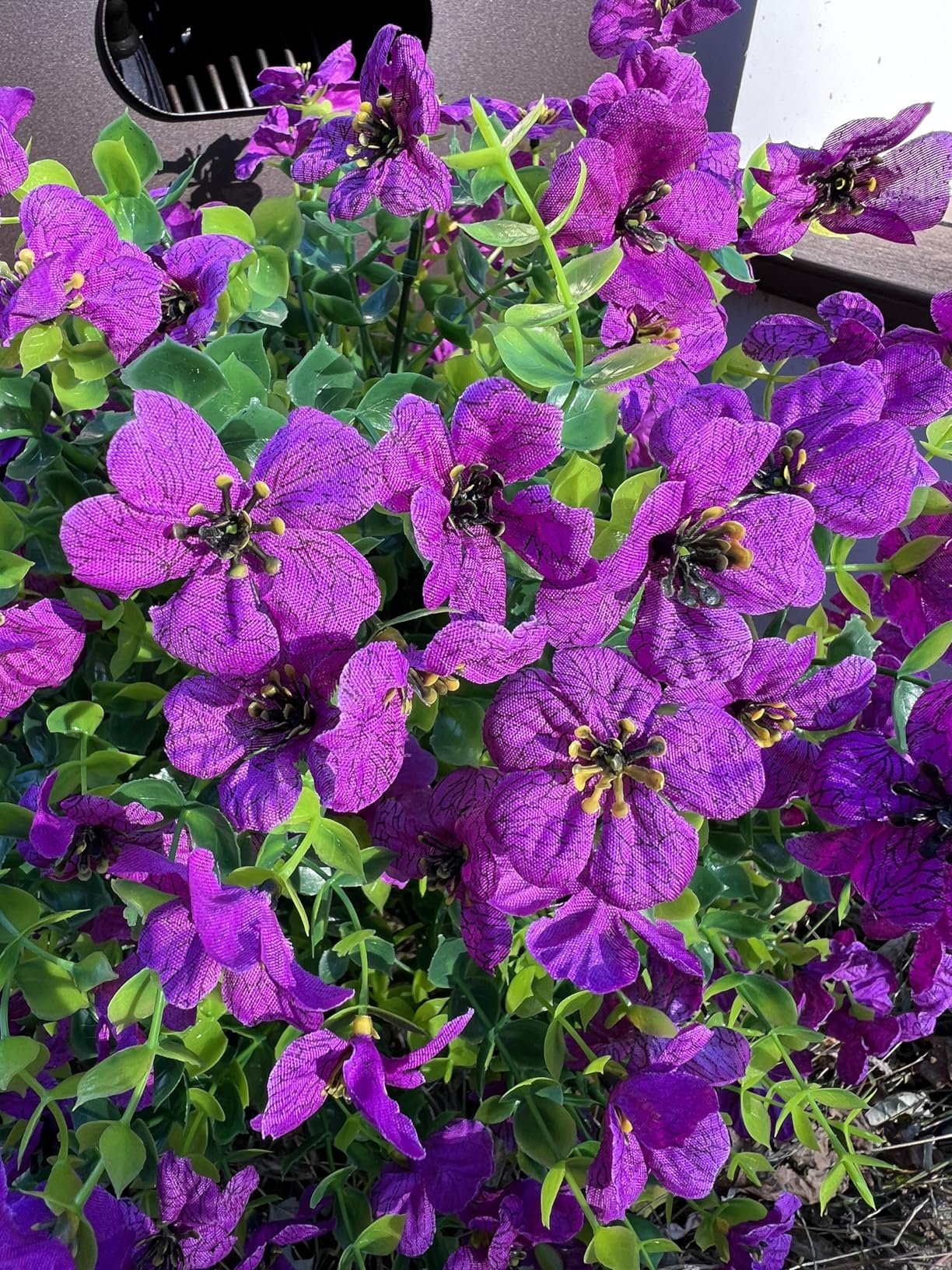 Beautiful flowers, zero maintenance required
