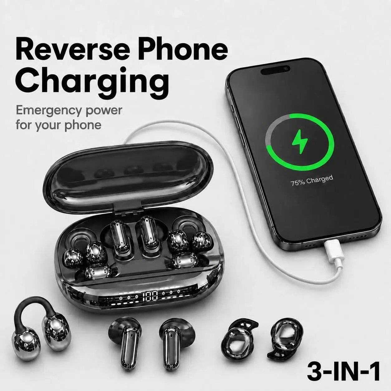 More Than an Earbud Case
