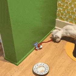 Interactive pet ball on indoor flooring