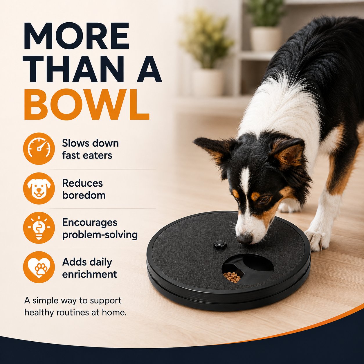Dog using enrichment feeder instead of ordinary bowl