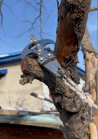 Carabiner Hook
