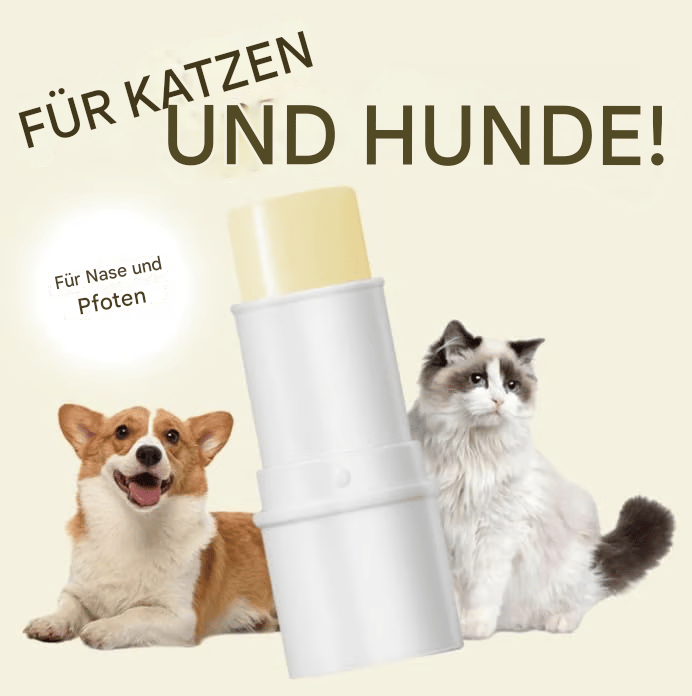 💥Blitzangebot🔥Pfotenbalsamstift für Haustiere