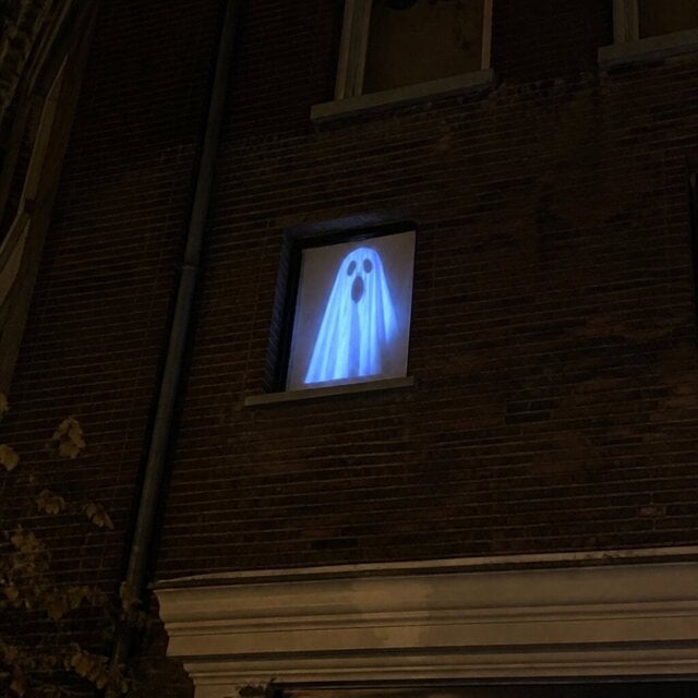 Amy Halloween projector customer photo