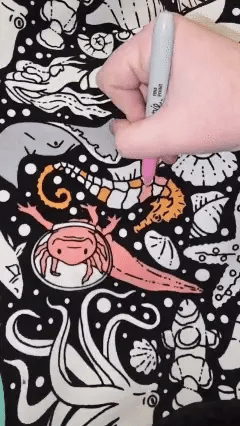 DIY Coloring Blanket