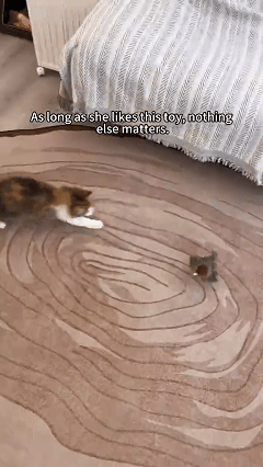 Flying Bird Cat Toy in action