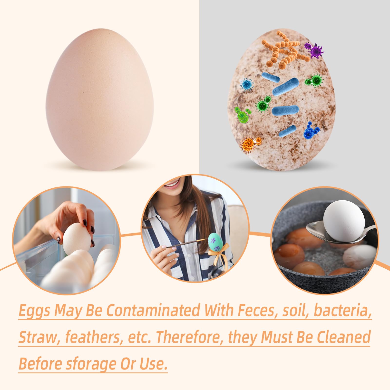 Egg Contamination Info