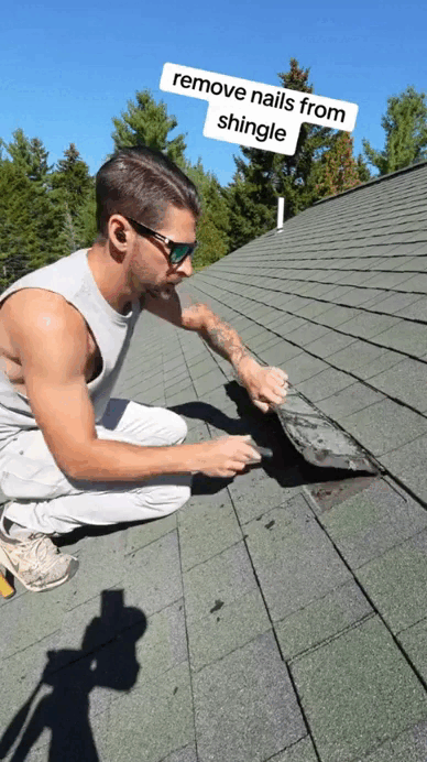 Roofing snake tool removing and positioning shingle nails