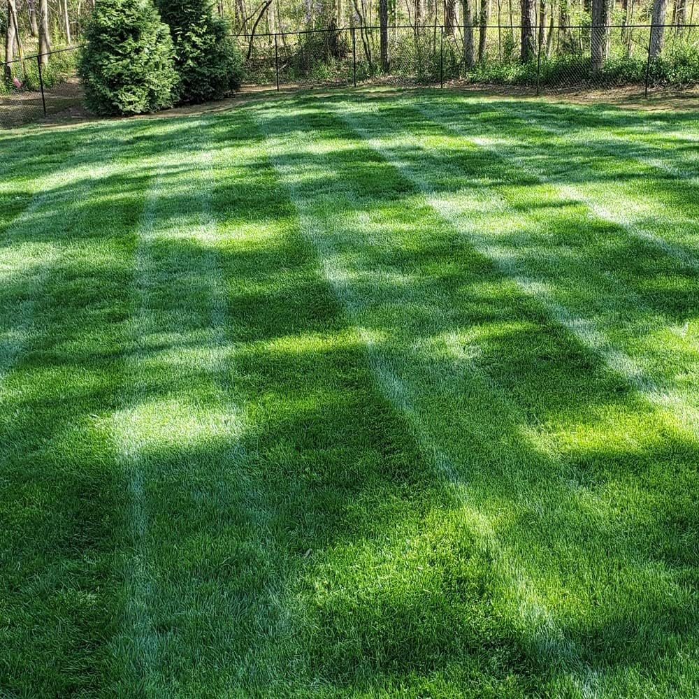 Lawn Repair