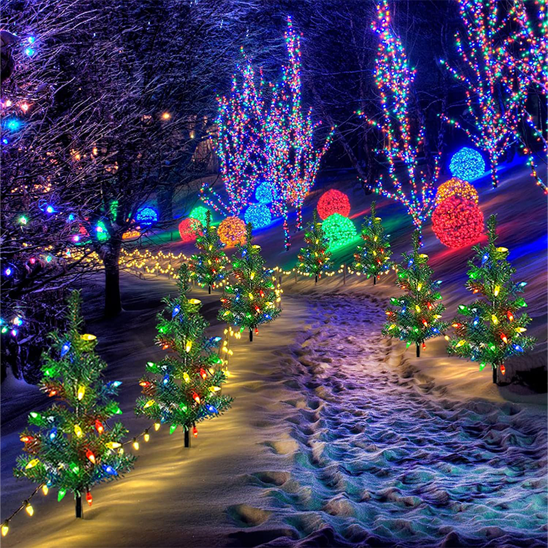 Purple Butterfly Flowers in Bloom