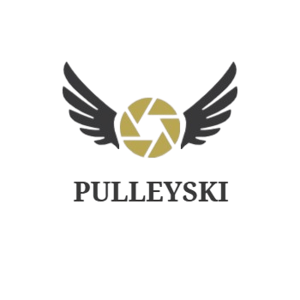 pulleyski