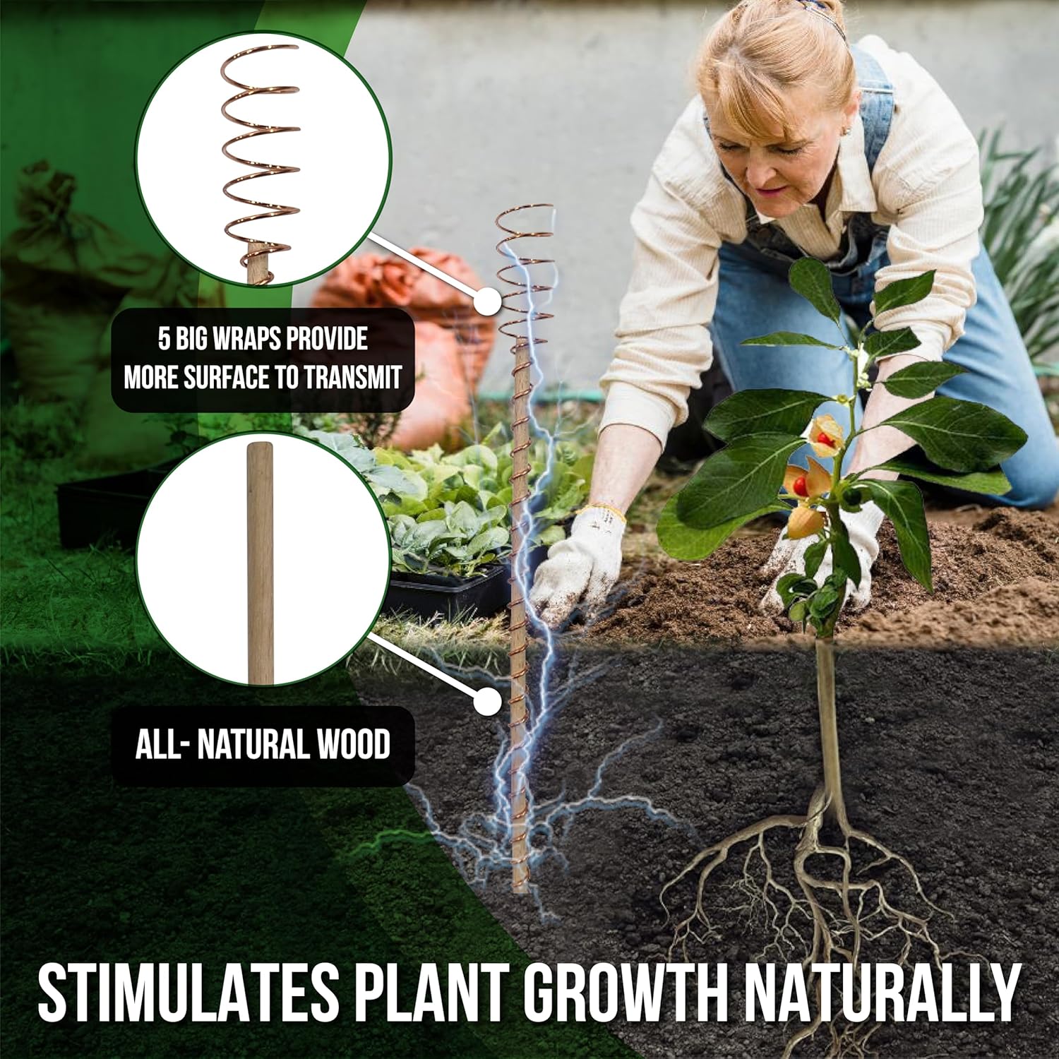 Copper stakes in garden soil