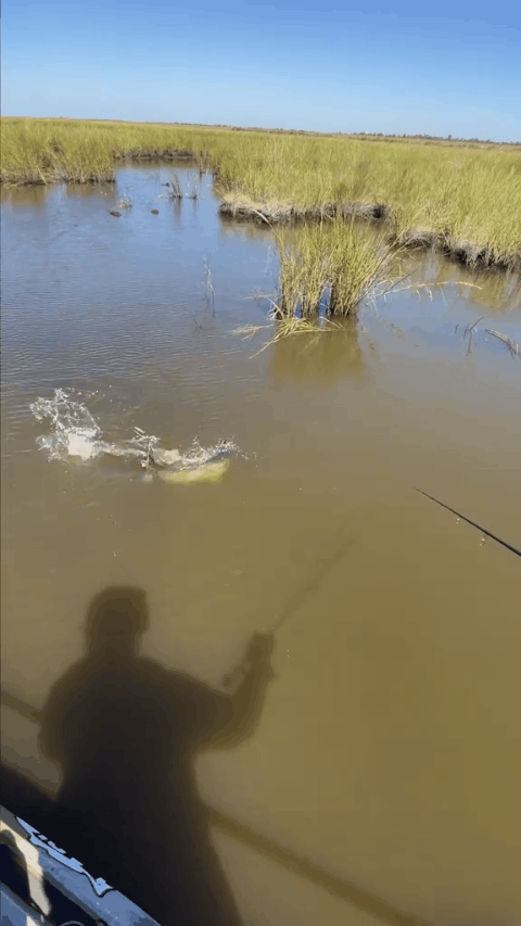 Fishing speed clips