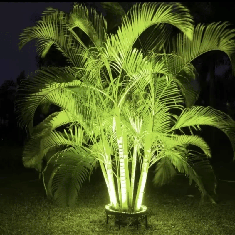 LED ring uplight illuminating palm tree from the base