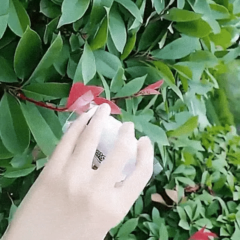 Microscope de poche gif 1