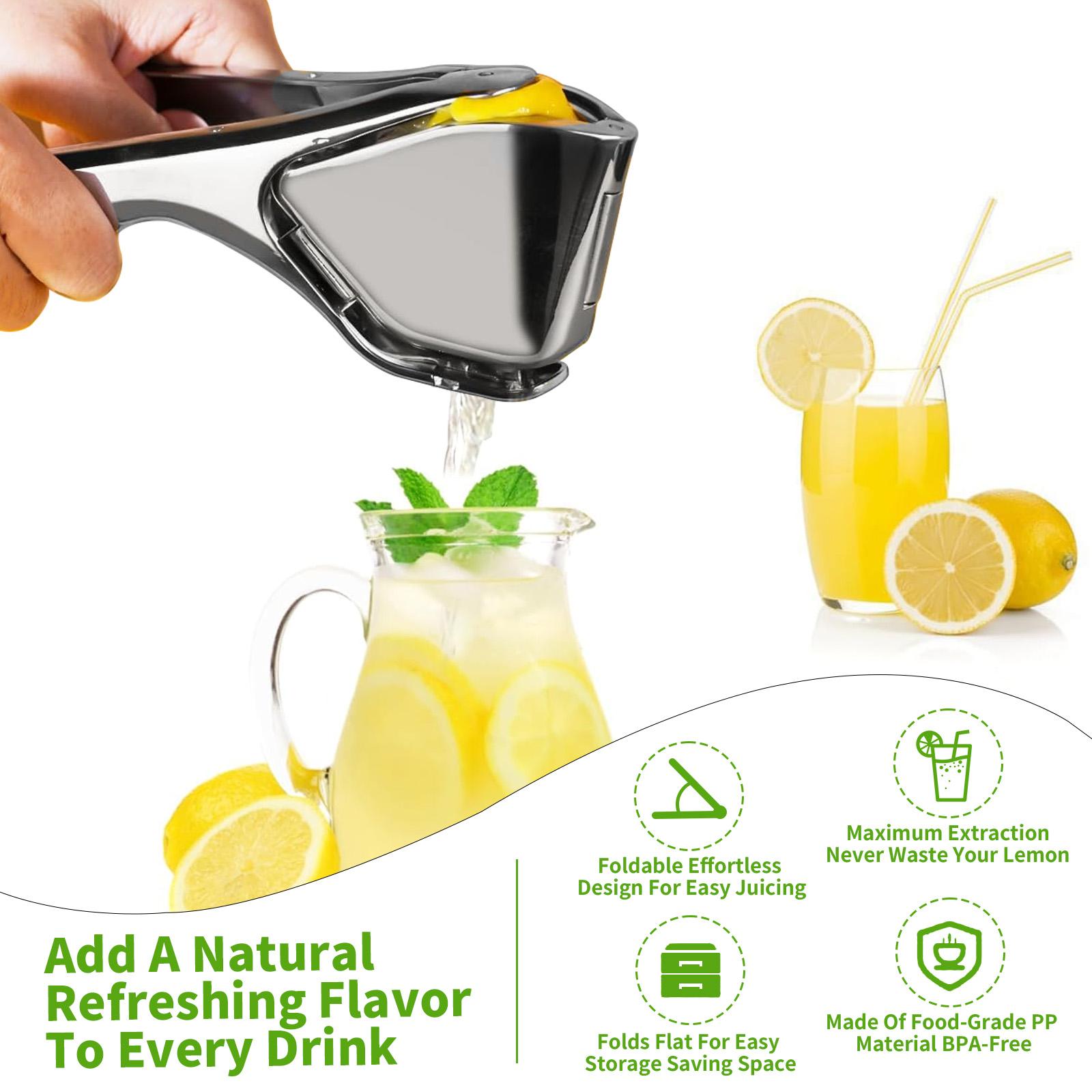 【AREL】Stainless Steel Citrus Squeezer 【AREL】Stainless Steel Citrus Squeezer