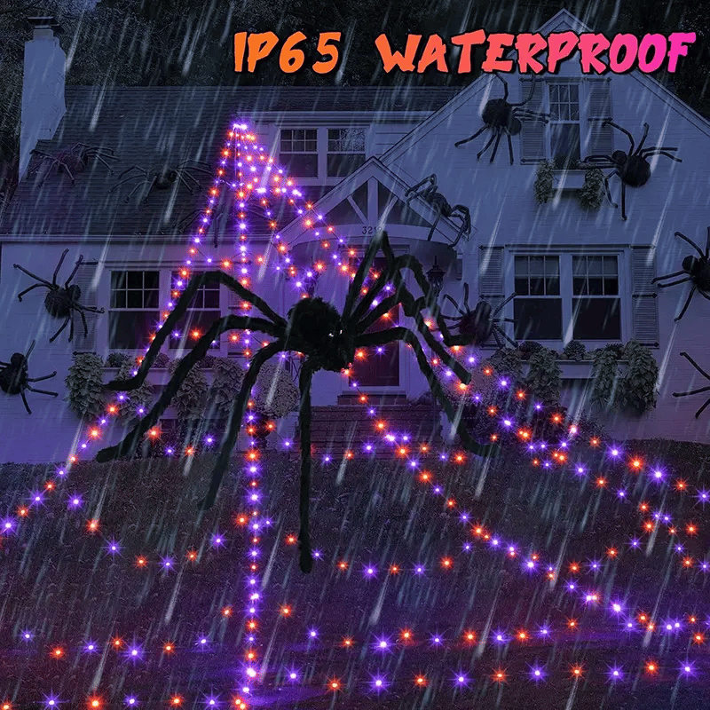 Massive Glowing Spider Web